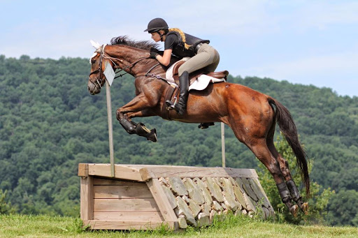 Horse Riding School «Horseng Farm LLC», reviews and photos, 6475 Warden Rd, New Tripoli, PA 18066, USA