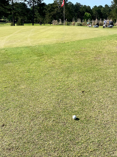 Golf Course «Live Oaks Golf Club», reviews and photos, 11200 US 49, Jackson, MS 39209, USA