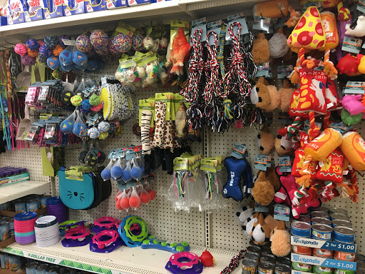 Dollar Store «Dollar Tree», reviews and photos, 8111 Steilacoom Blvd SW, Lakewood, WA 98498, USA