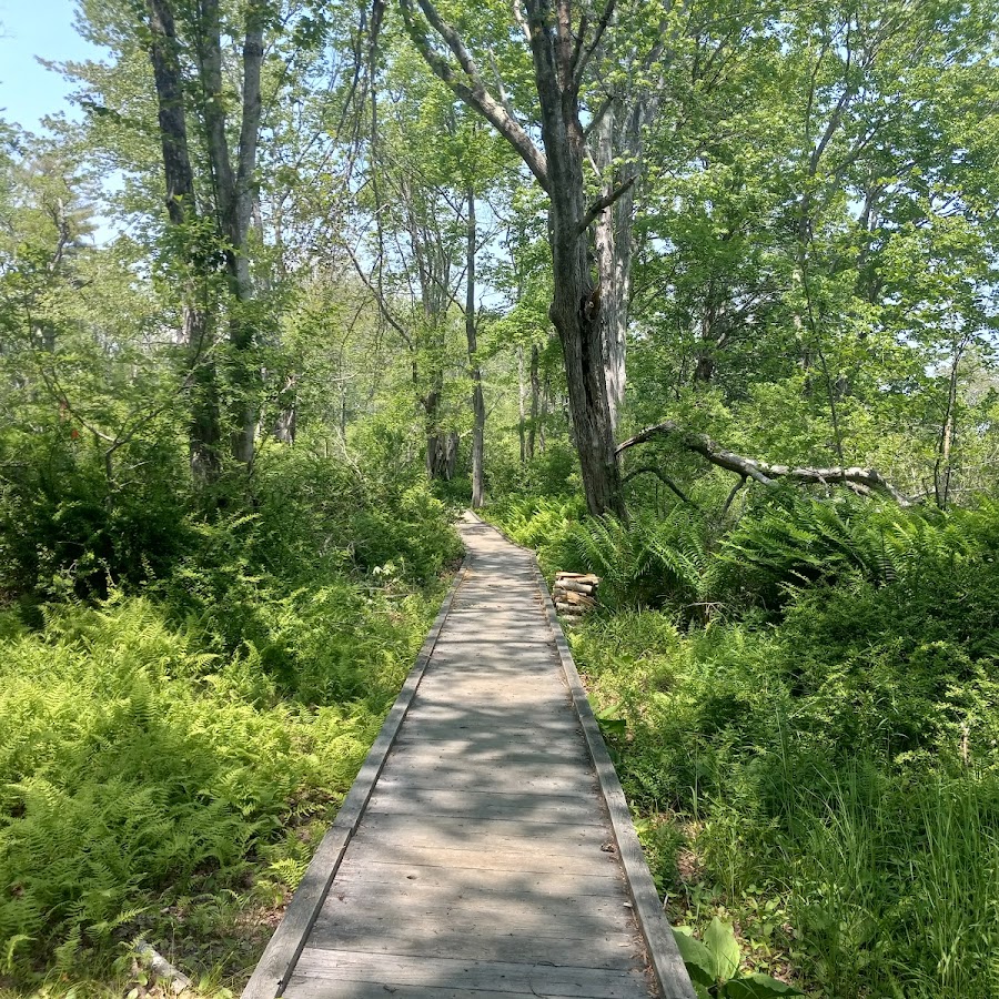 Wells National Estuarine Research Reserve