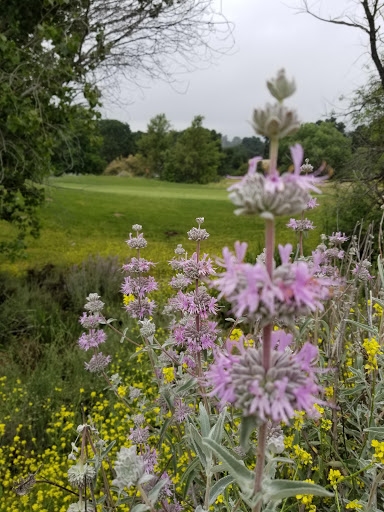 Golf Club «Sand Canyon Country Club», reviews and photos, 27734 Sand Canyon Rd, Santa Clarita, CA 91387, USA