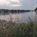 Photo n°4 de l'avis de Noemi.i fait le 09/06/2023 à 10:53 sur le  Osteria Del Mento à Cremona