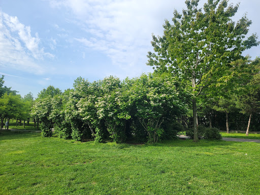 Park «Elmhurst Park», reviews and photos, 57th Ave & Grand avenue, Queens, NY 11373, USA