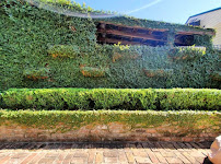 Ground-Up Landscaping Services, LLC - Photo 4 - Car repair in , Metairie