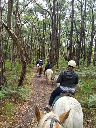 Dandenong Ranges Horse Trail Rides