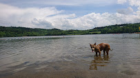 Plage d’Aydat du Domaine du Lac Restaurant à Aydat - n°1