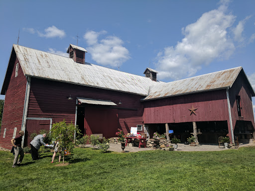 Tourist Attraction «Crested Hen Farms», reviews and photos, 607 Co Rd 6, High Falls, NY 12440, USA