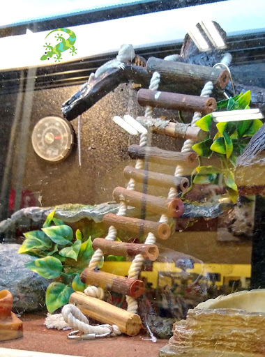 Pet Supply Store «PetSmart», reviews and photos, 842 Dawsonville Hwy, Gainesville, GA 30501, USA