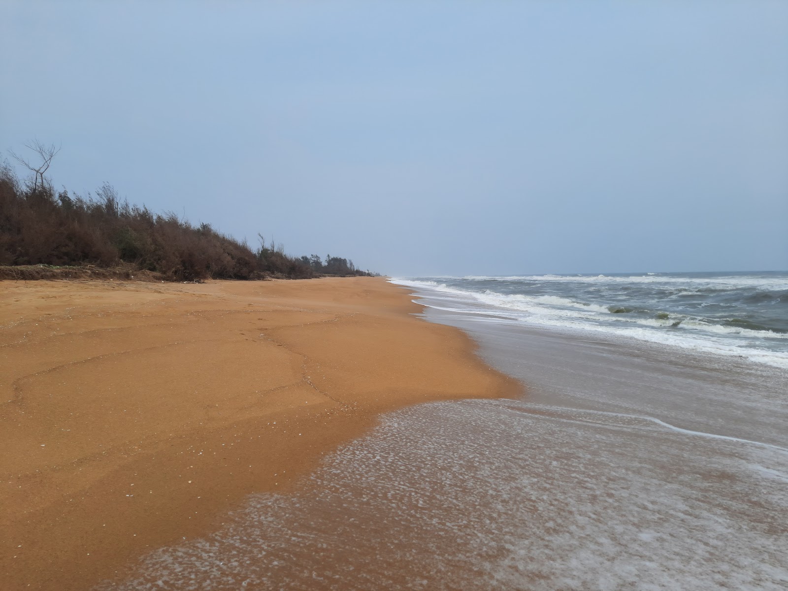 Fotografija Thiruvidanthai Beach divje območje