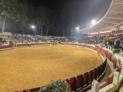 Arènes Marcel Dangou à Saint-Vincent-de-Tyrosse