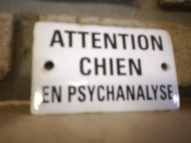 Opinii despre VAN EEPOEL Manuela în Walcourt - Dierenarts