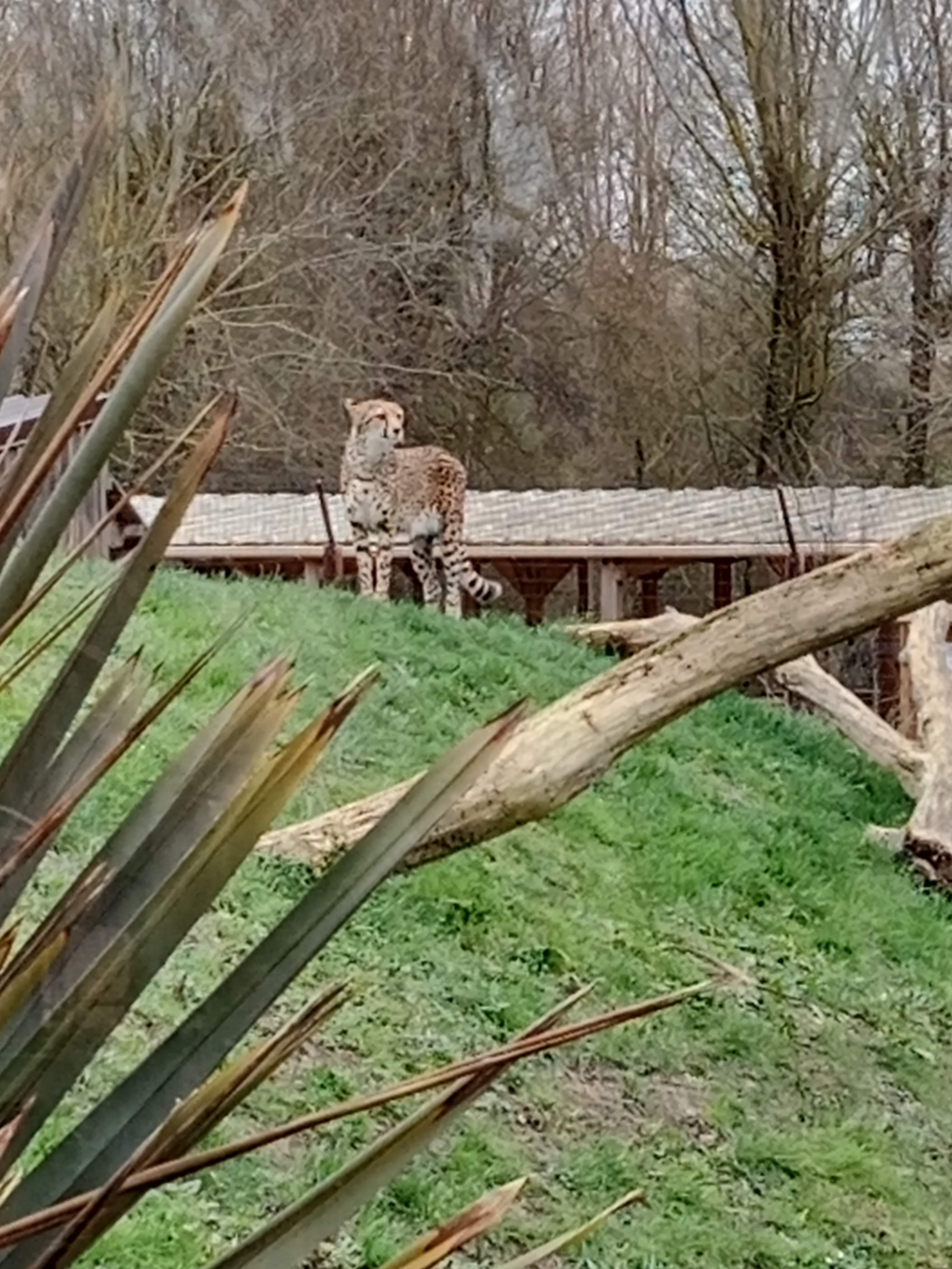 Photo n° 7 de l'avis de brigitte.l fait le 08/02/2022 à 16:57