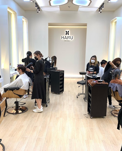 Haru Hair Studio