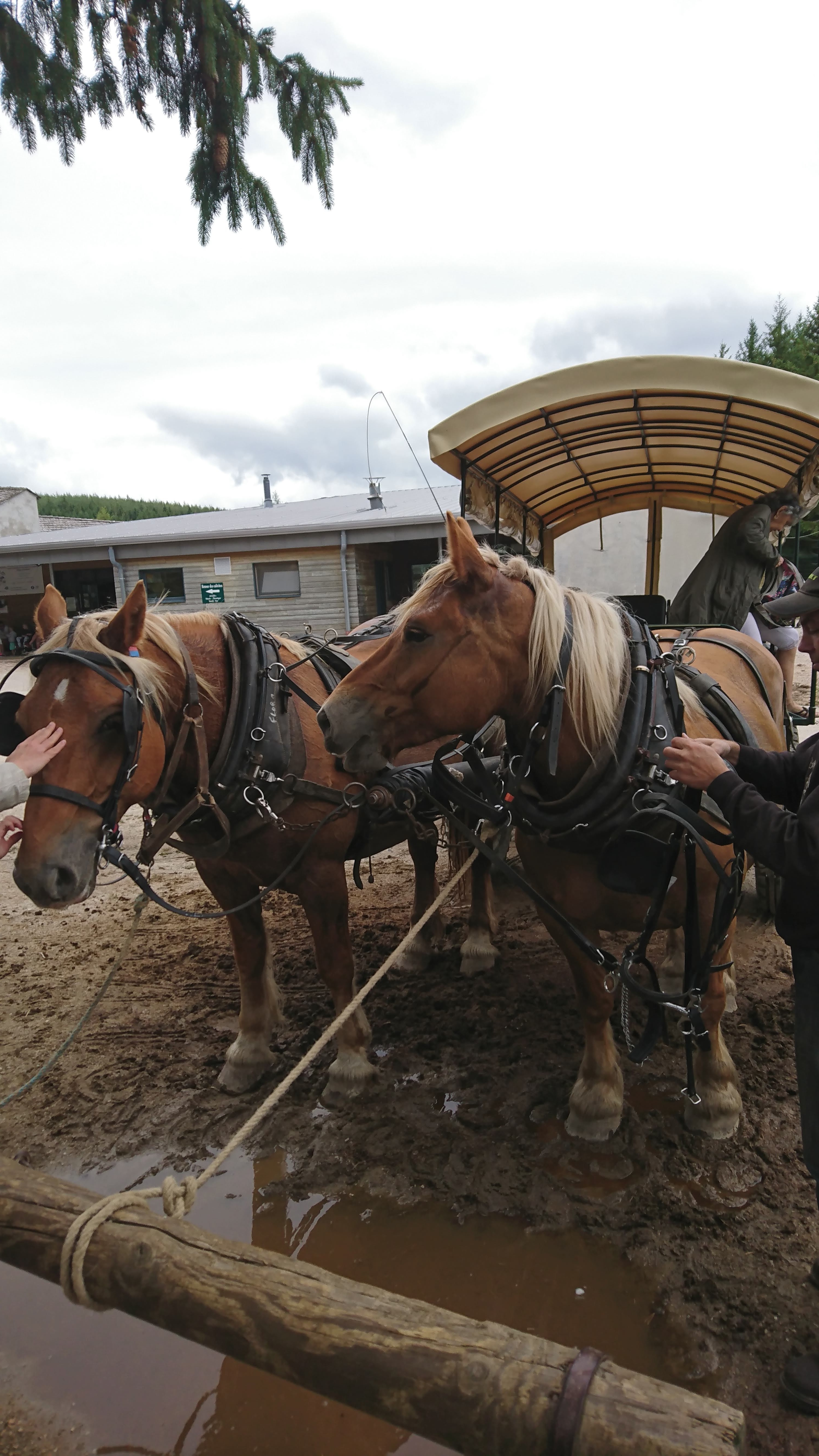Photo n° 1 de l'avis de Bernard.l fait le 16/08/2019 à 10:01