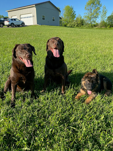 Insurance Agency «Jim Rollo - State Farm Insurance Agent», reviews and photos