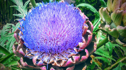 Zoo «Sacramento Zoo», reviews and photos, 3930 W Land Park Dr, Sacramento, CA 95822, USA