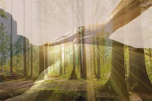 Le Chemin de l'Éveil par Zain & Zen image