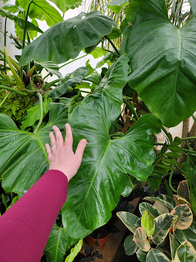 Florist «Little Eden Plantscaping», reviews and photos, 15550 W 72nd Ave, Arvada, CO 80007, USA