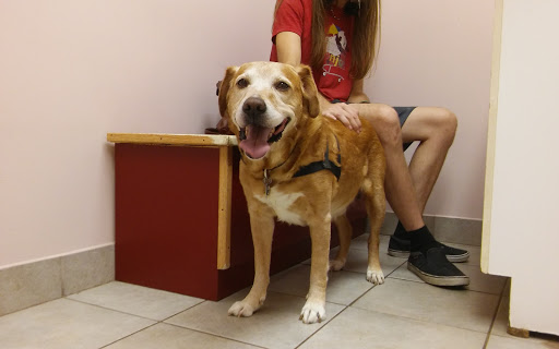 A W Animal Hospital image