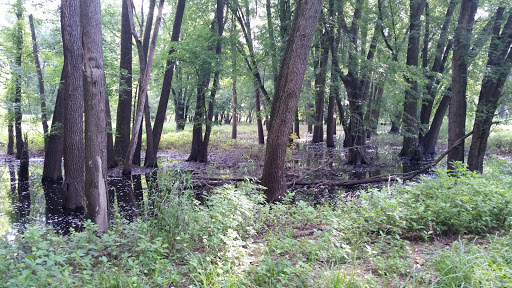 Nature Preserve «Indian Creek Nature Center», reviews and photos, 5300 Otis Rd, Cedar Rapids, IA 52403, USA