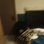 Photo n° 2 de l'avis de Giorgio.u fait le 17/05/2023 à 19:03 pour Akwaba chez Ouli à Levens