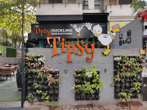 The Tipsy Duckling