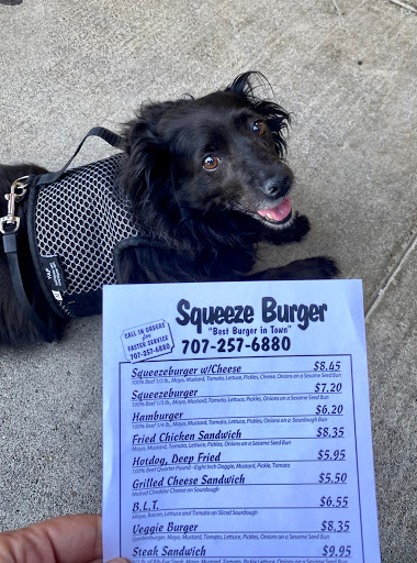 Squeeze Inn Hamburgers image