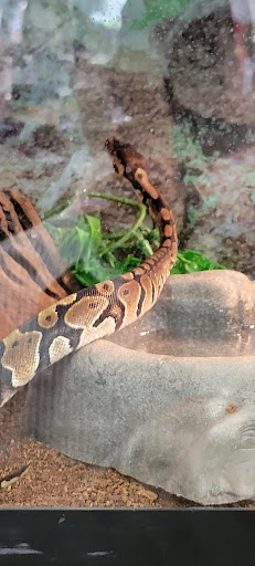 Pet Store «Fin & Feather of Ashland», reviews and photos, 307 S Center St, Ashland, VA 23005, USA