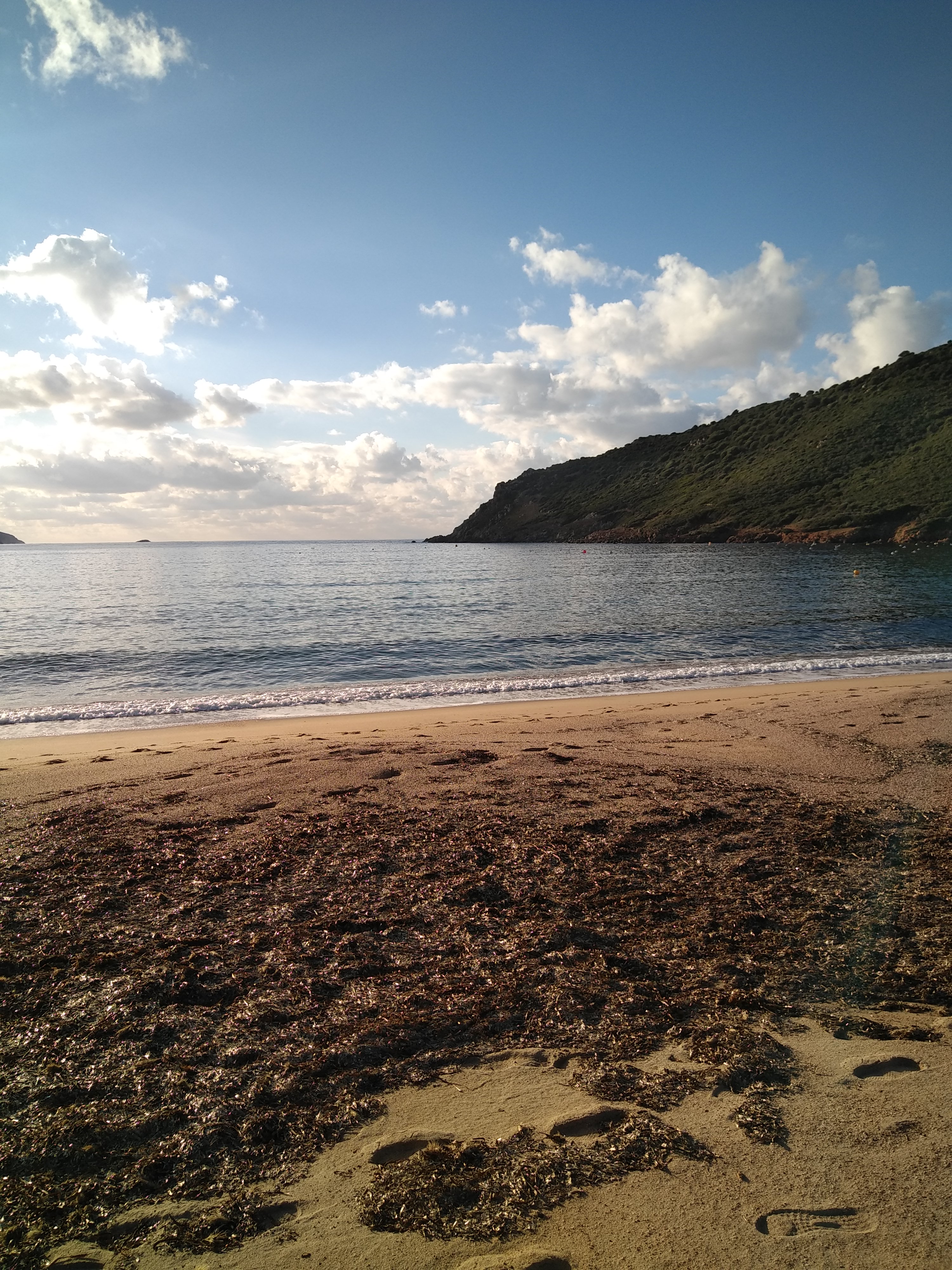 Photo n° 2 de l'avis de Bruno.d fait le 10/12/2023 à 07:34