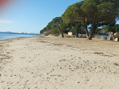 La Londe les Maures à La Londe-les-Maures