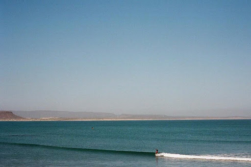 Surf Shop «Mollusk Surf Shop», reviews and photos, 4500 Irving St, San Francisco, CA 94122, USA