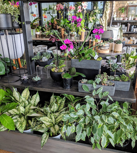 Orchid Grower «Orchid Dynasty», reviews and photos, 959 900 S, Salt Lake City, UT 84105, USA