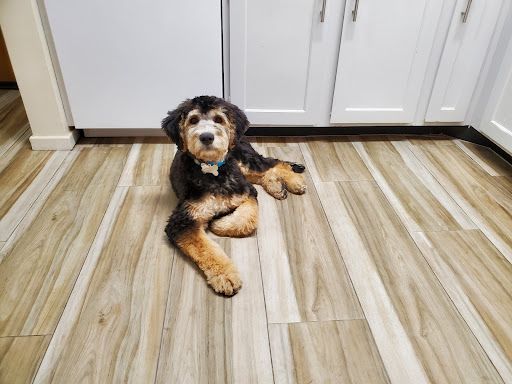 Dog Day Care Center «K9 Behavior UT, LLC», reviews and photos, 1458 Main St, Salt Lake City, UT 84115, USA