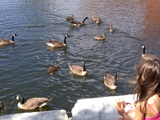 State Park «Fall River Heritage State Park», reviews and photos, Davol St, Fall River, MA 02720, USA