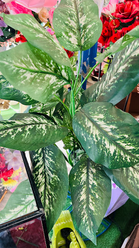 Florist «Hillside Floral Design», reviews and photos, 153-39 Hillside Avenue, Jamaica, NY 11432, USA