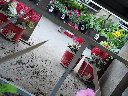 Home Improvement Store «The Home Depot», reviews and photos, 5995 Eldorado Pkwy, Frisco, TX 75034, USA