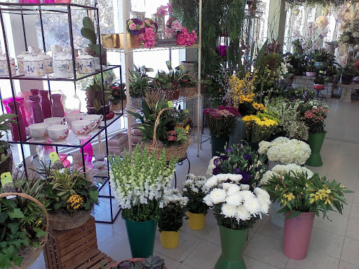 Florist «Flowers by Maria», reviews and photos, 147 NJ-27, Edison, NJ 08820, USA