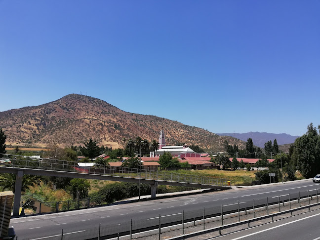 Opinii despre Escuela de Pelequén în Malloa - Escuela