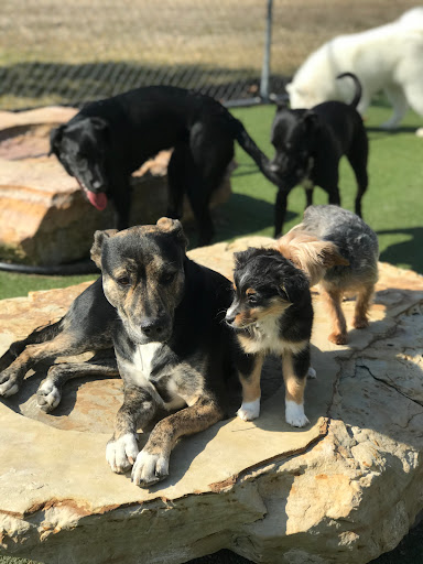 Pet Store «Happy, Clean and Smart», reviews and photos, 5700 W Kilgore Ave, Muncie, IN 47304, USA