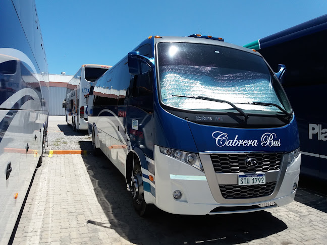 Opiniones de Marcopolo Uruguay Marcobus Ebasul S.A. en San Ramón - Concesionario de automóviles