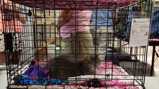 Pet Supply Store «Petco Animal Supplies», reviews and photos, 5975 20th St, Vero Beach, FL 32966, USA