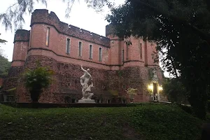 Museu Castelo São João image