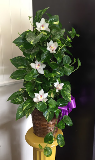 Florist «Bo-Kay Florist», reviews and photos, 622 SE 3rd Ave, Ocala, FL 34471, USA