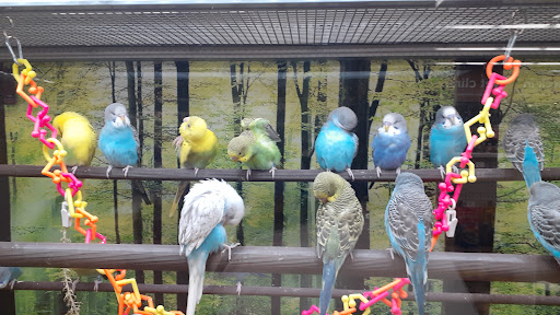 Pet Supply Store «Petco Animal Supplies», reviews and photos, 5850 Sepulveda Blvd, Van Nuys, CA 91411, USA