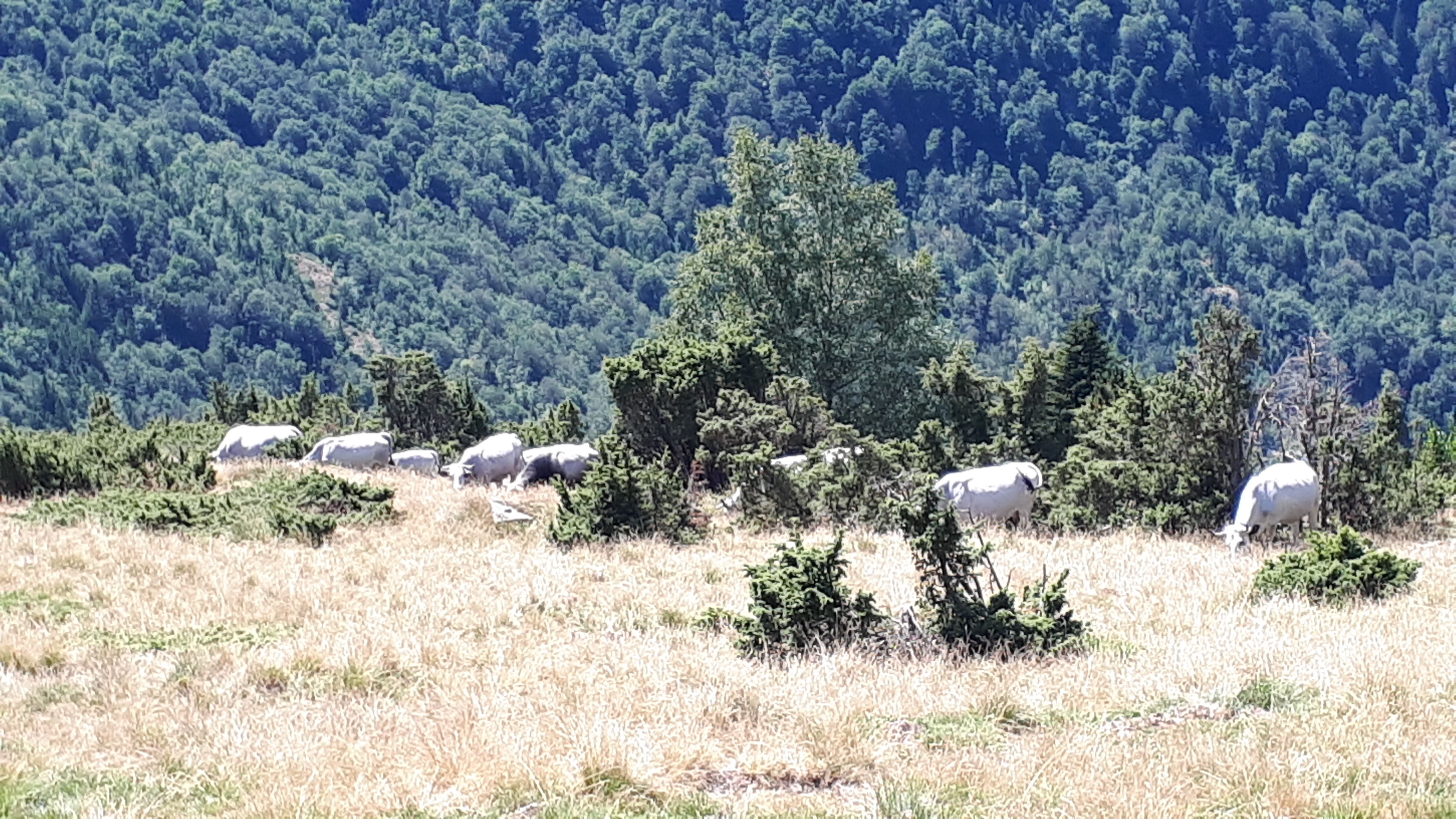 Photo n° 11 de l'avis de Christophe.e fait le 16/08/2019 à 17:19
