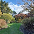 Dunedin Botanic Garden Rhododendron Dell