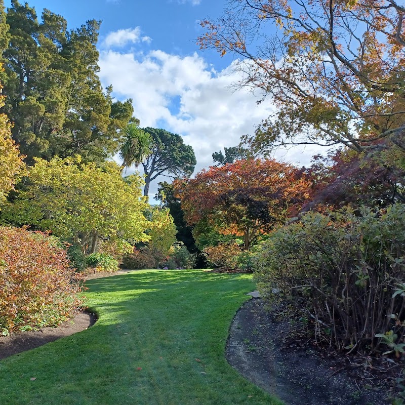 Dunedin Botanic Garden Rhododendron Dell