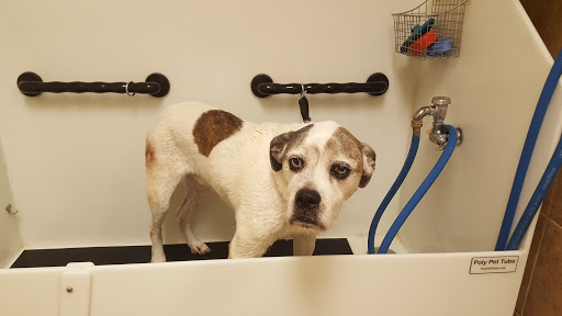 EarthWise Pet Supply & Grooming