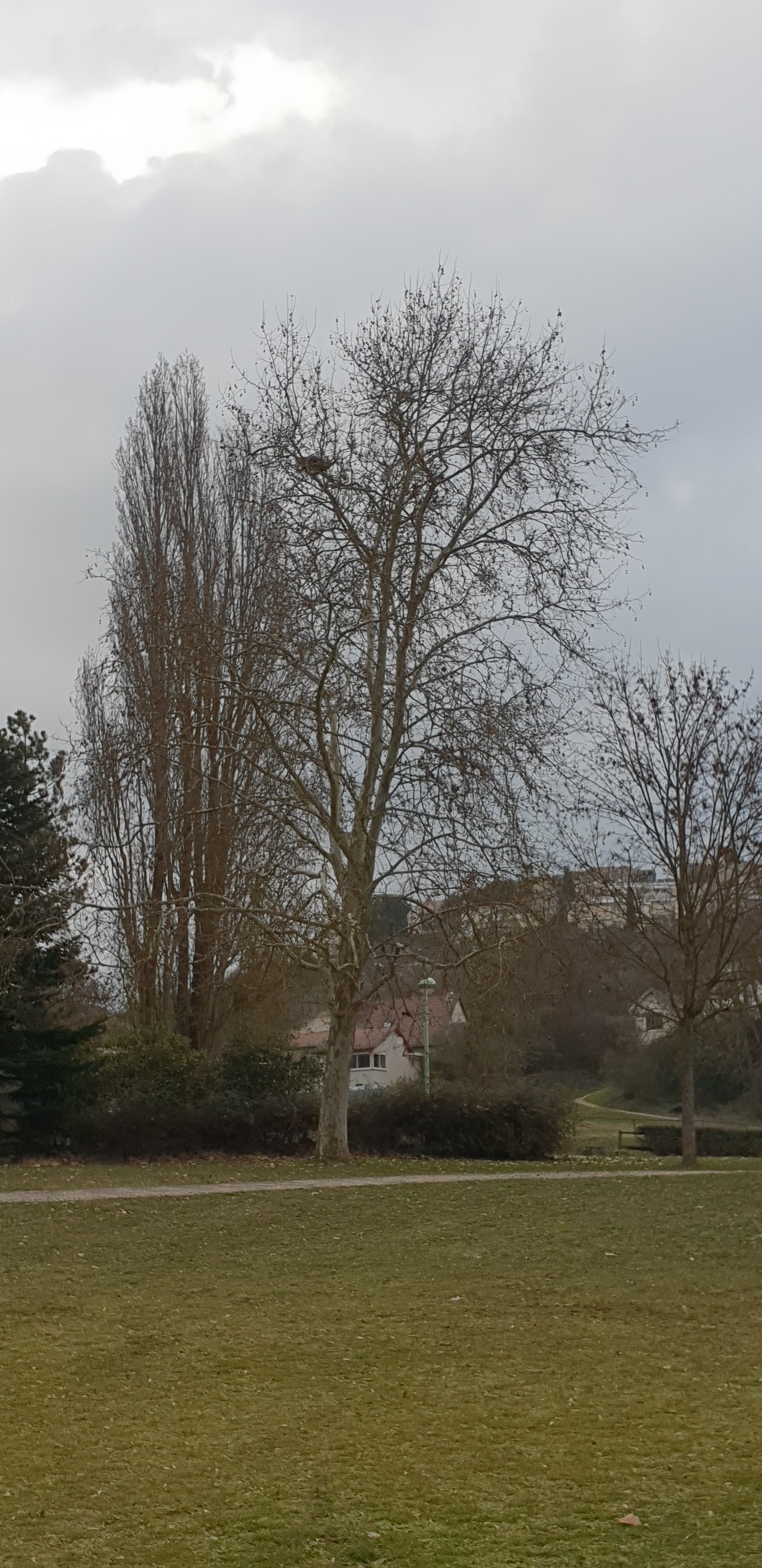 Photo n° 1 de l'avis de Rosa.o fait le 19/03/2019 à 22:34