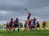 Cancha Rugby Sofo Logo, Temuco, Chile, Park